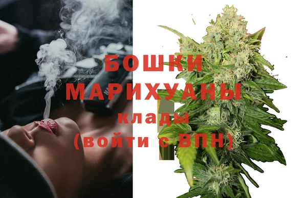 прущий лед Верея