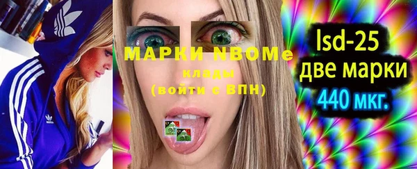 прущий лед Верея