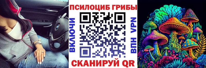 Галлюциногенные грибы мицелий  купить наркотик  Мончегорск 