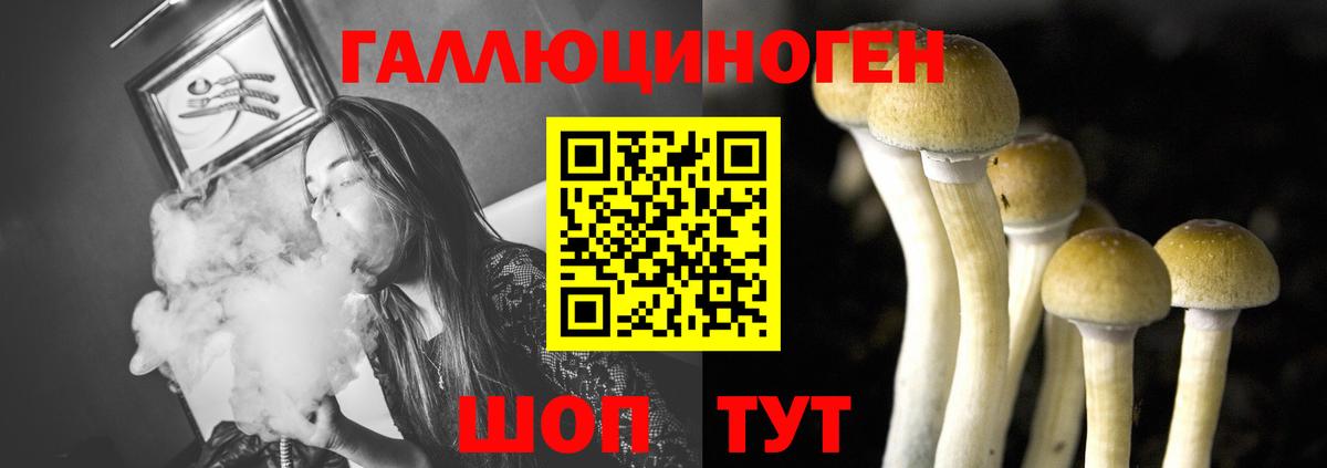 Мончегорск  Галлюциногенные грибы прущие грибы  Вход с VPN 